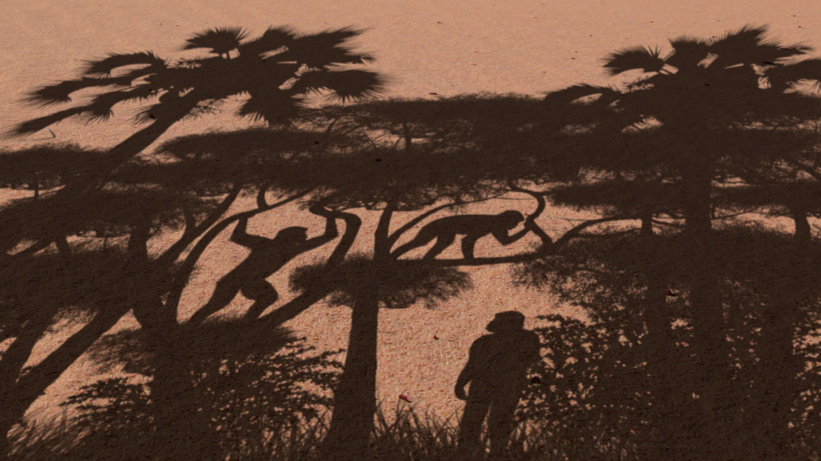 Преди 7 млн. години... предшествениците ни ходели изправени