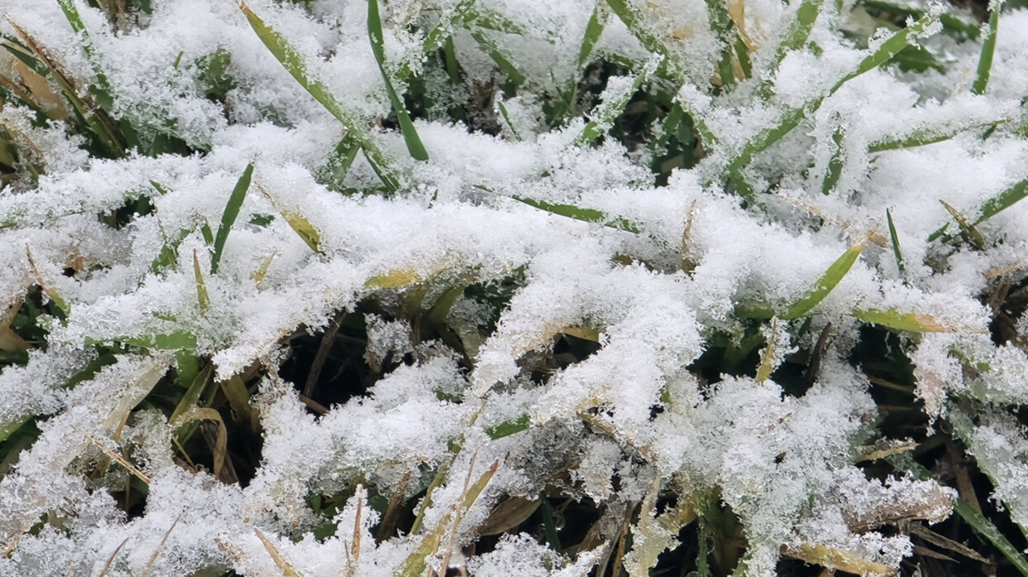 Спомени и прогнози в предаването "Точно ...
