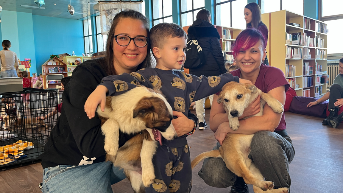 Котенца и кученца търсят осиновители в Русенската библиотека