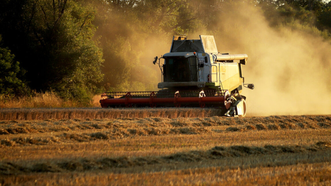 Николай Киров: Отпадане на забраната за внос на украинско зърно е национално предателство